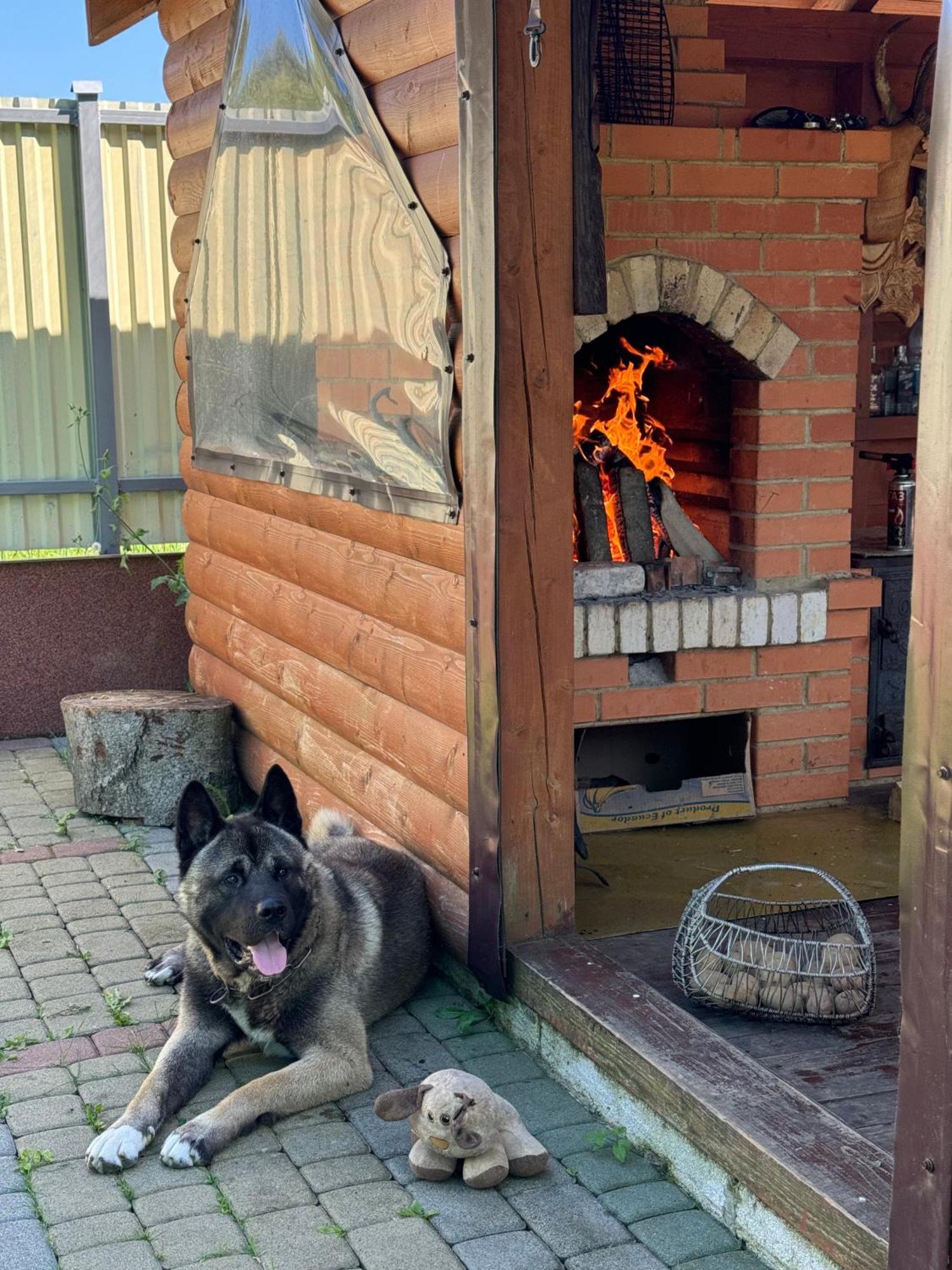 Під Боржавою Volovets Exterior photo