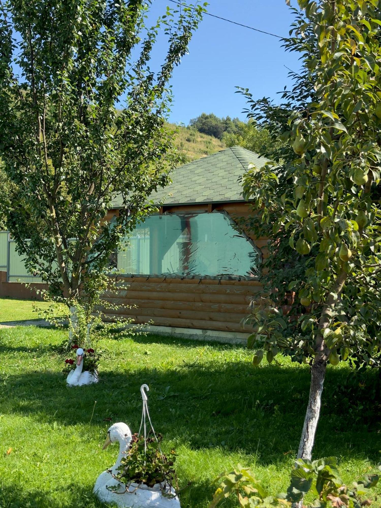Під Боржавою Volovets Exterior photo